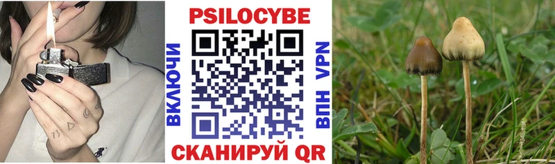 Псилоцибиновые грибы мицелий  Купить где  Михайловка 
